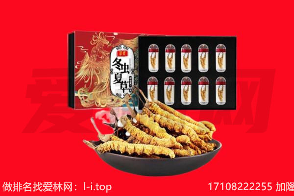 宝鸡市扶风回收虫草.jpg